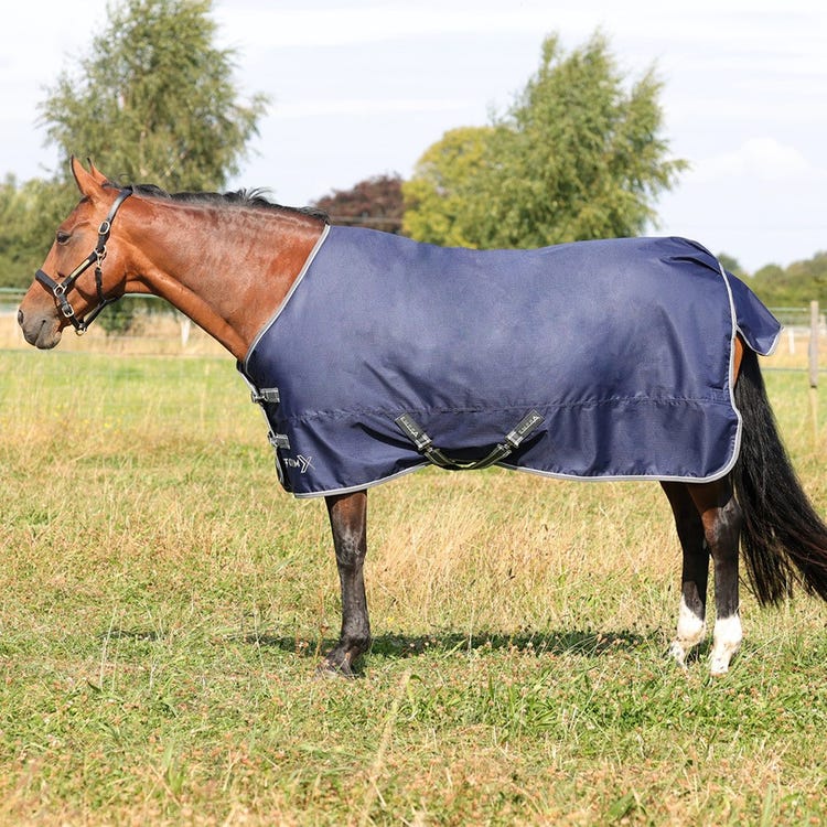 StormX Empra 100 Turnout Rug image 1